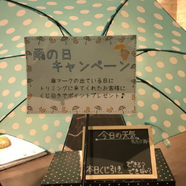 雨の日キャンペーン　伊奈本店サムネイル