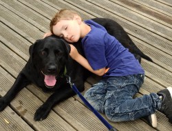 犬と子供についてサムネイル
